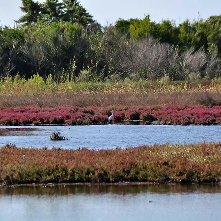 Lejlighed Il Vicolo Ágios Matthaíos